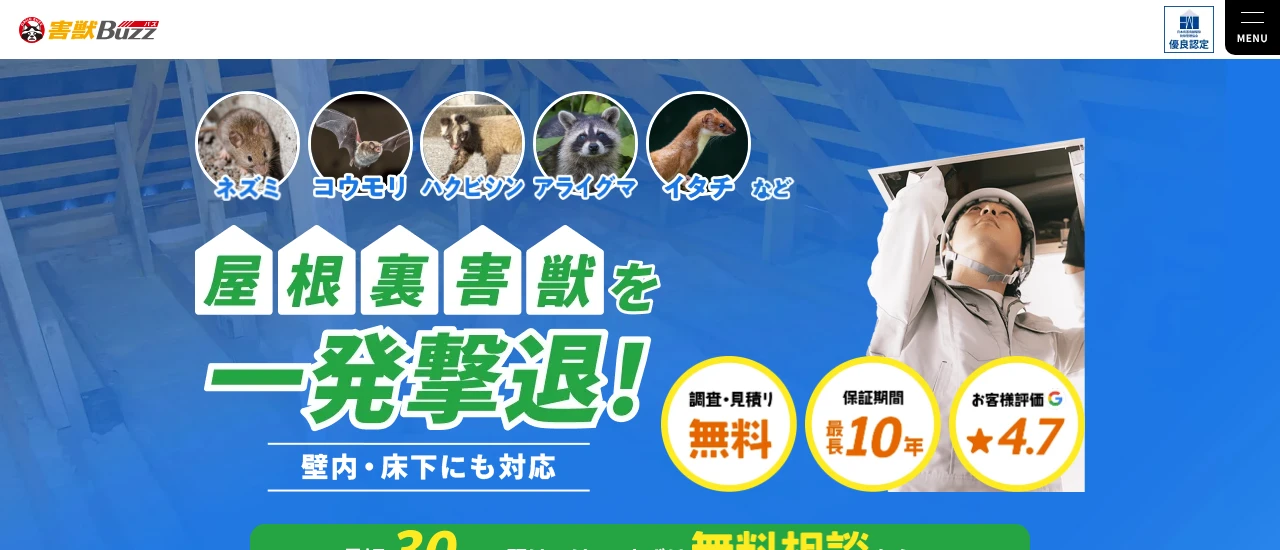 害獣BUZZ｜神奈川でおすすめのコウモリ駆除業者5選