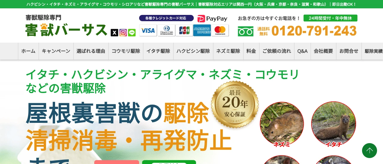 害獣バーサス|大阪でおすすめのコウモリ駆除業者5選
