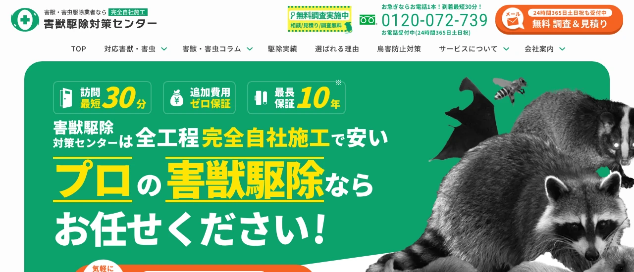 ホームレスキュー|大阪でおすすめのハクビシン駆除業者5選