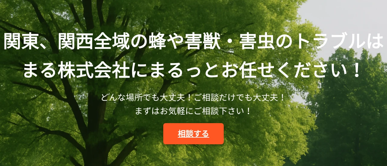 まる株式会社|大阪でおすすめのアライグマ駆除業者5選