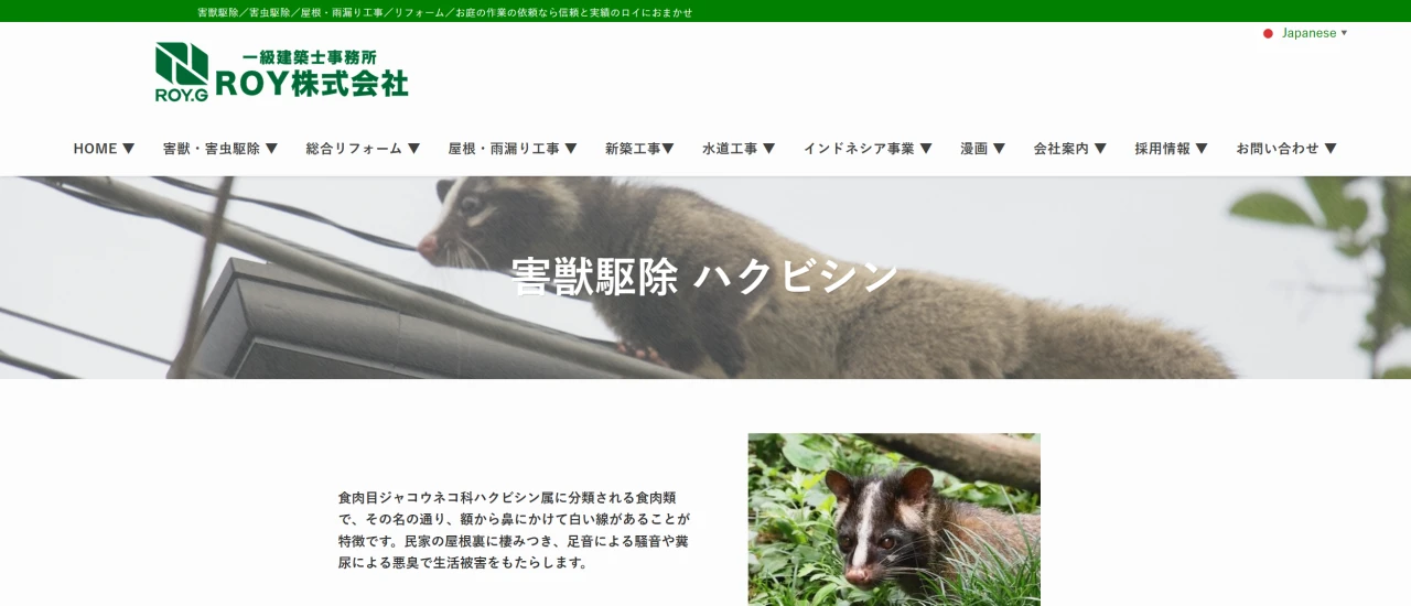 害獣駆除のROY｜熊本でおすすめのハト駆除業者5選