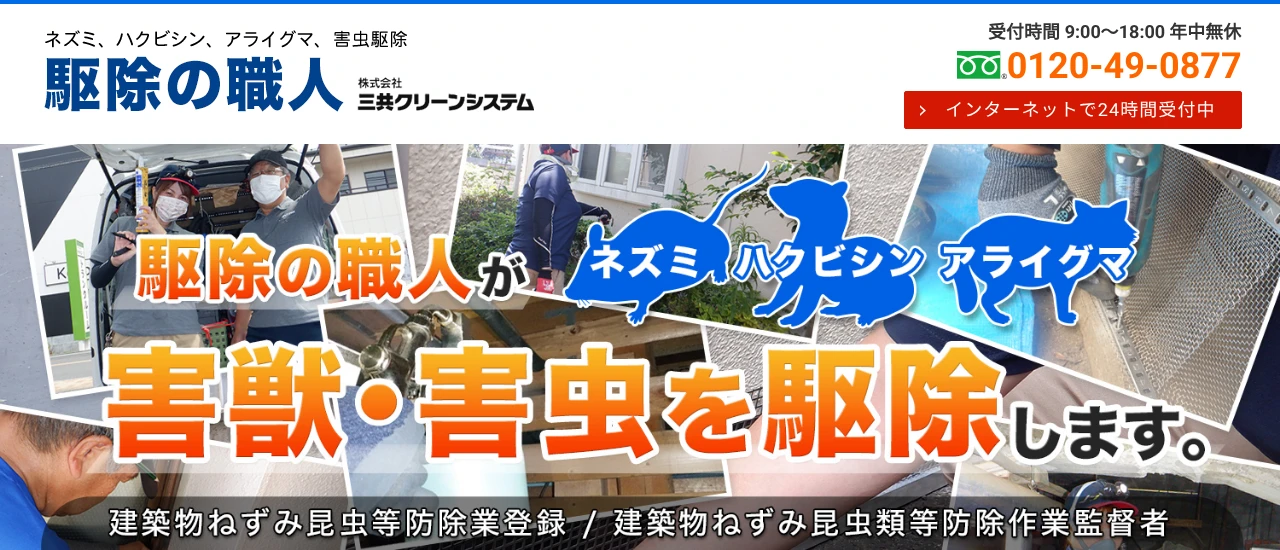 三共クリーンシステム｜東京でおすすめのハクビシン駆除業者5選