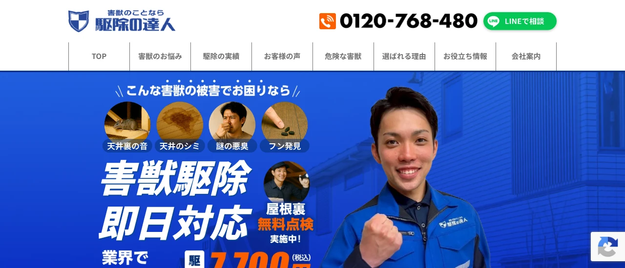 駆除の達人|熊本でおすすめのコウモリ駆除業者5選