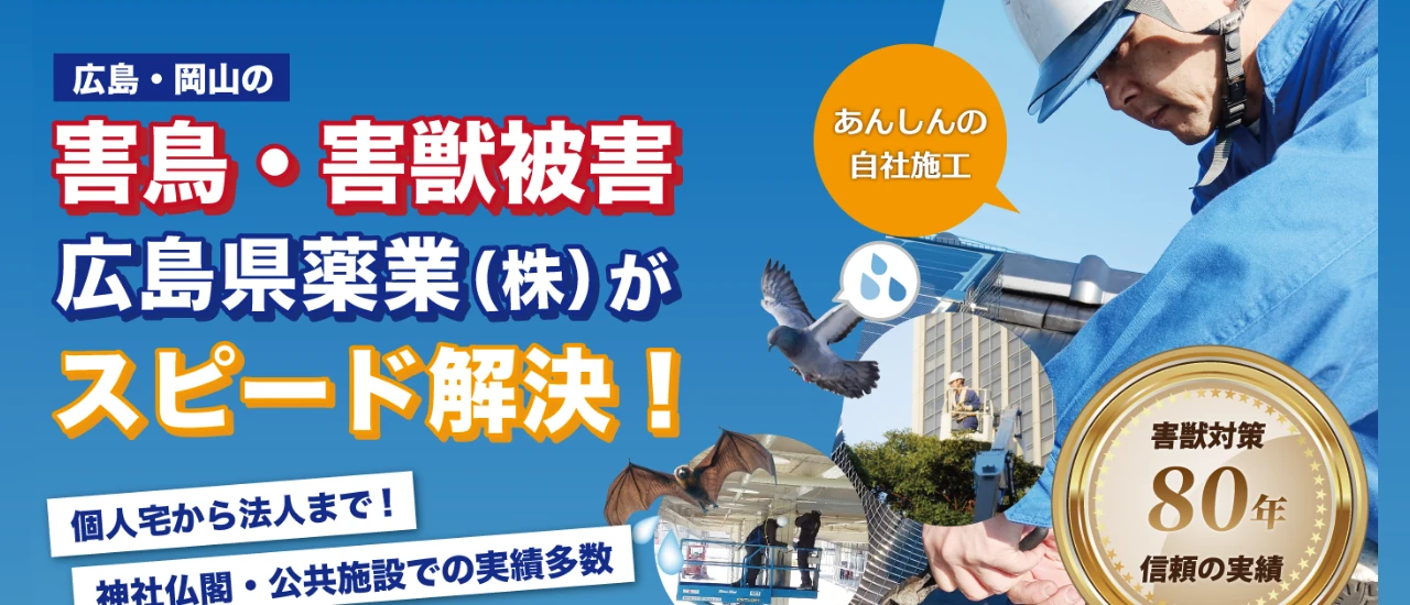 広島県薬業｜広島でおすすめのハト駆除業者5選