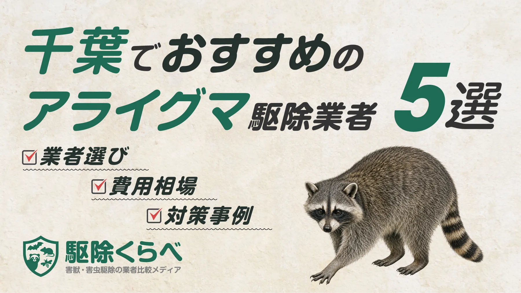 千葉でおすすめのアライグマ駆除業者5選|費用相場と業者選びのポイント
