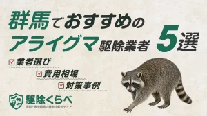 群馬でおすすめのアライグマ駆除業者5選｜費用相場と業者選びのポイント