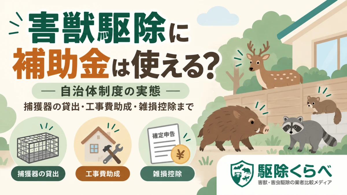 害獣駆除に補助金は使える?自治体制度の実態|捕獲器の貸出・工事費助成・雑損控除まで