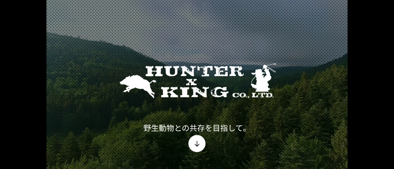 HUNTER×KING｜茨城でおすすめのハクビシン駆除業者5選