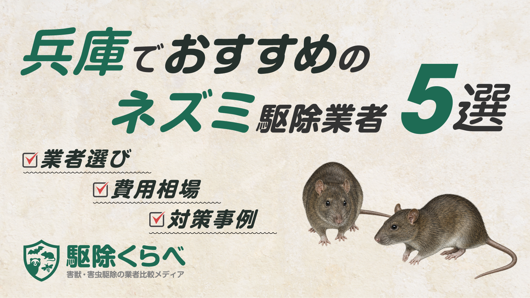 兵庫でおすすめのネズミ駆除業者5選｜費用相場と業者選びのポイント