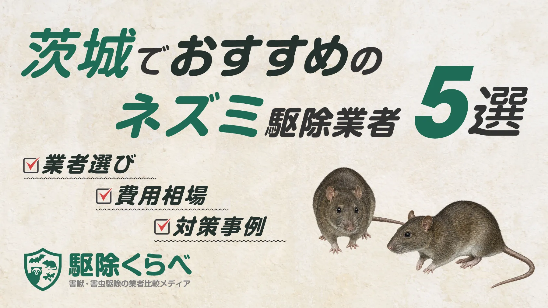 茨城でおすすめのネズミ駆除業者5選｜費用相場と業者選びのポイント