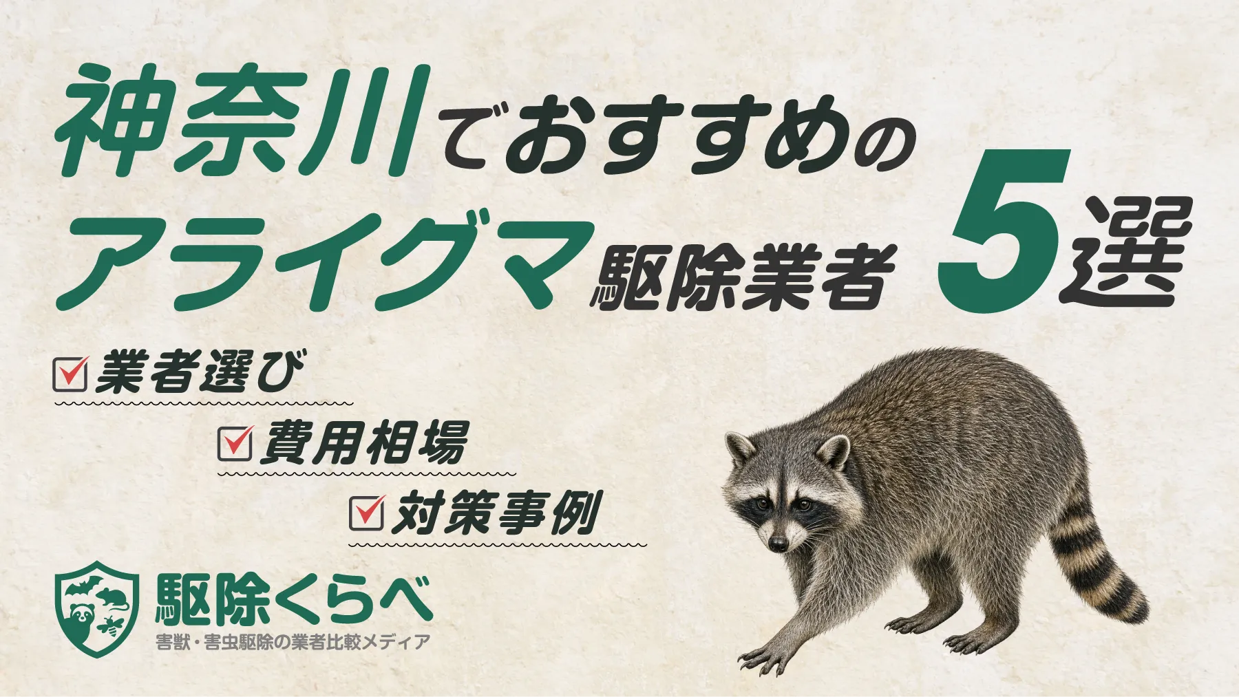 神奈川でおすすめのアライグマ駆除業者5選｜費用相場と業者選びのポイント