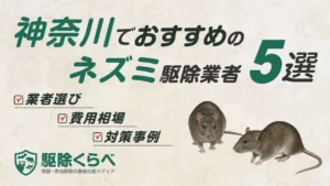 神奈川でおすすめのネズミ駆除業者5選｜費用相場と業者選びのポイント