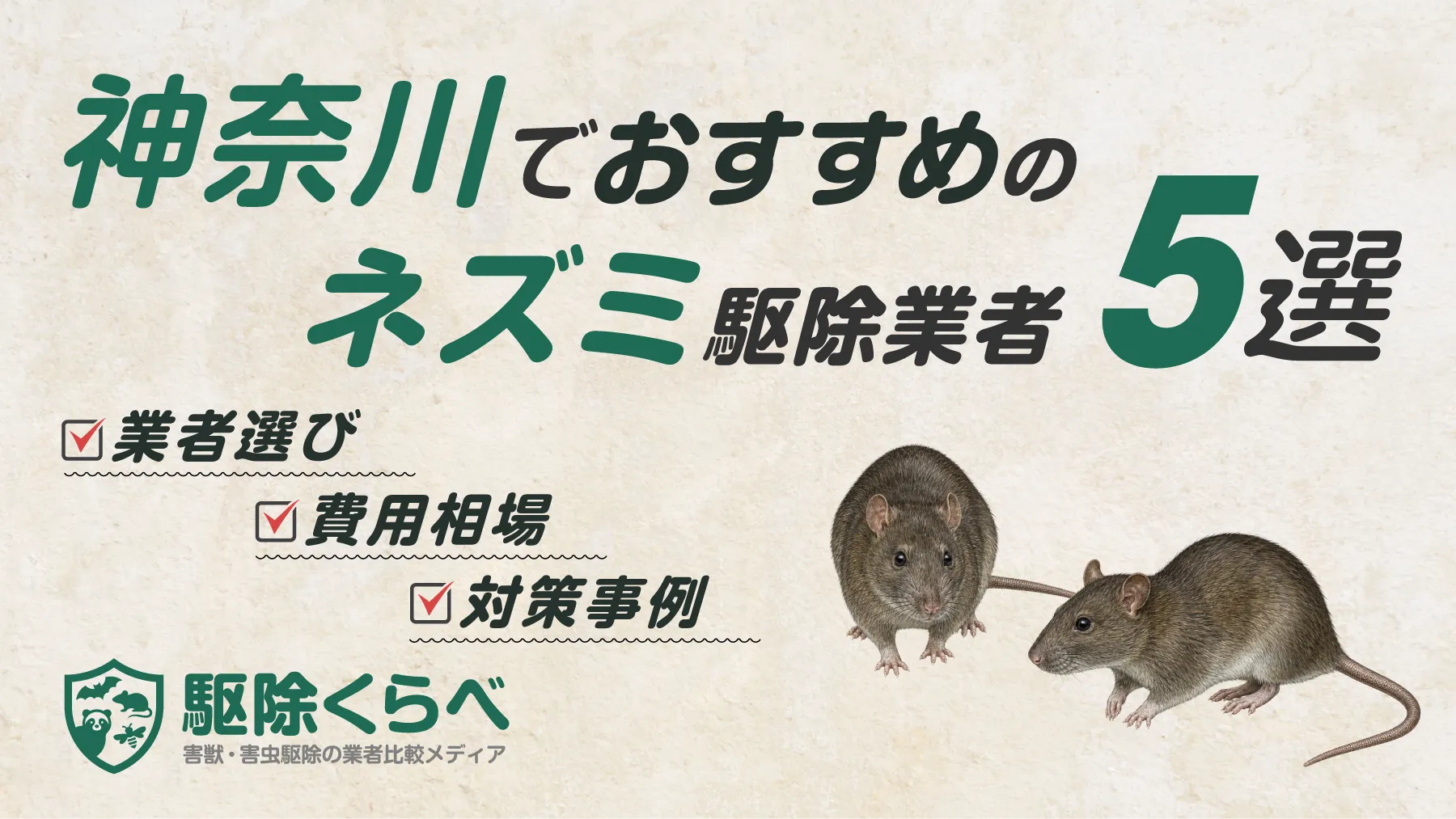 神奈川でおすすめのネズミ駆除業者5選｜費用相場と業者選びのポイント