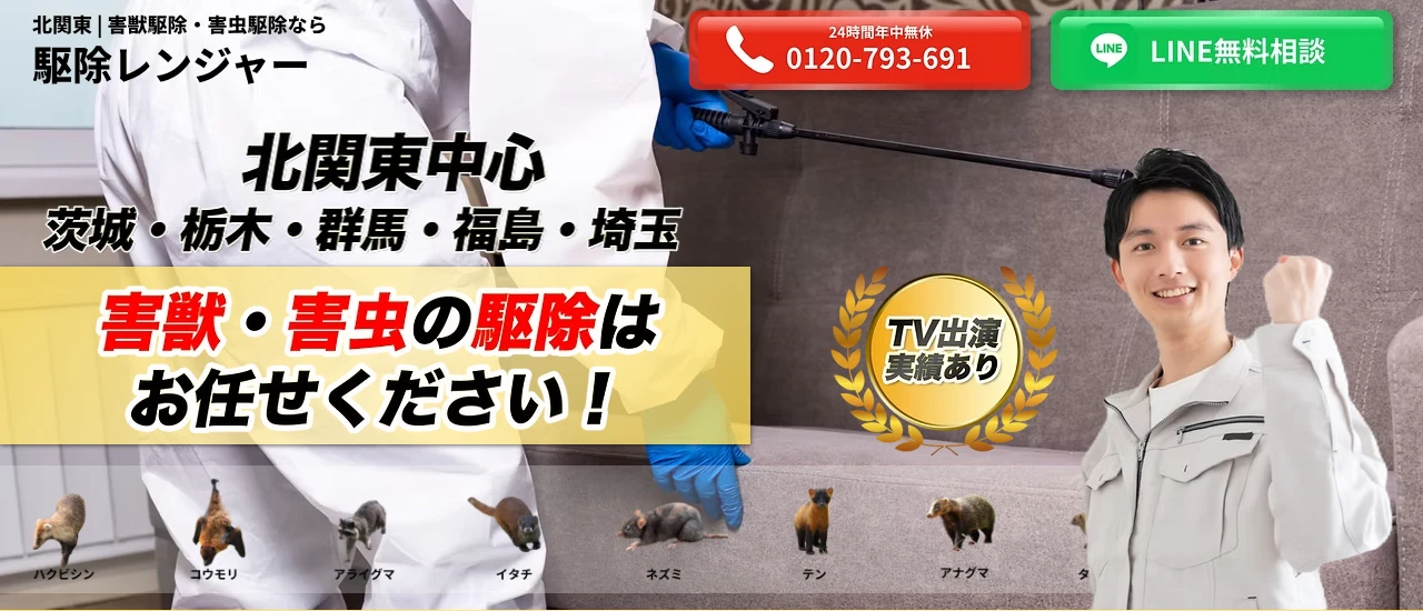 駆除レンジャー｜茨城でおすすめのイタチ駆除業者5選