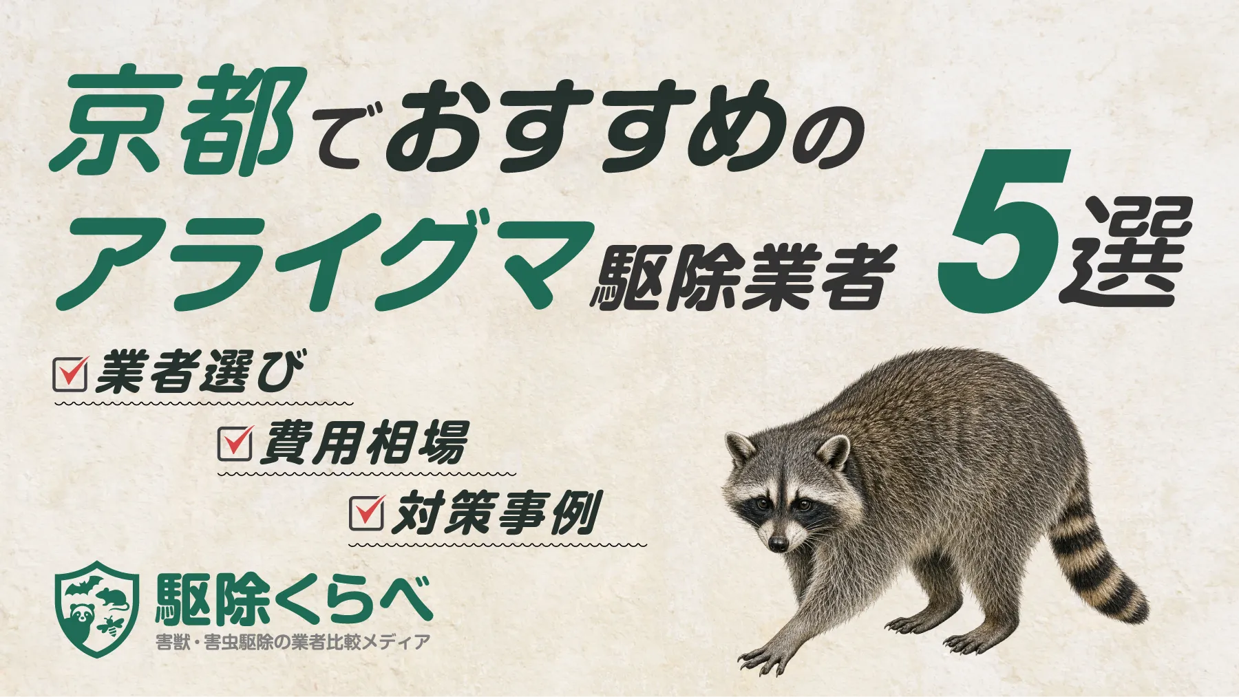 京都でおすすめのアライグマ駆除業者5選｜費用相場と業者選びのポイント