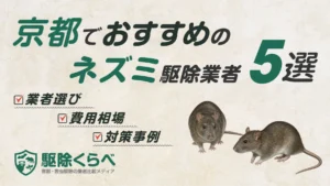 京都でおすすめのネズミ駆除業者5選｜費用相場と業者選びのポイント