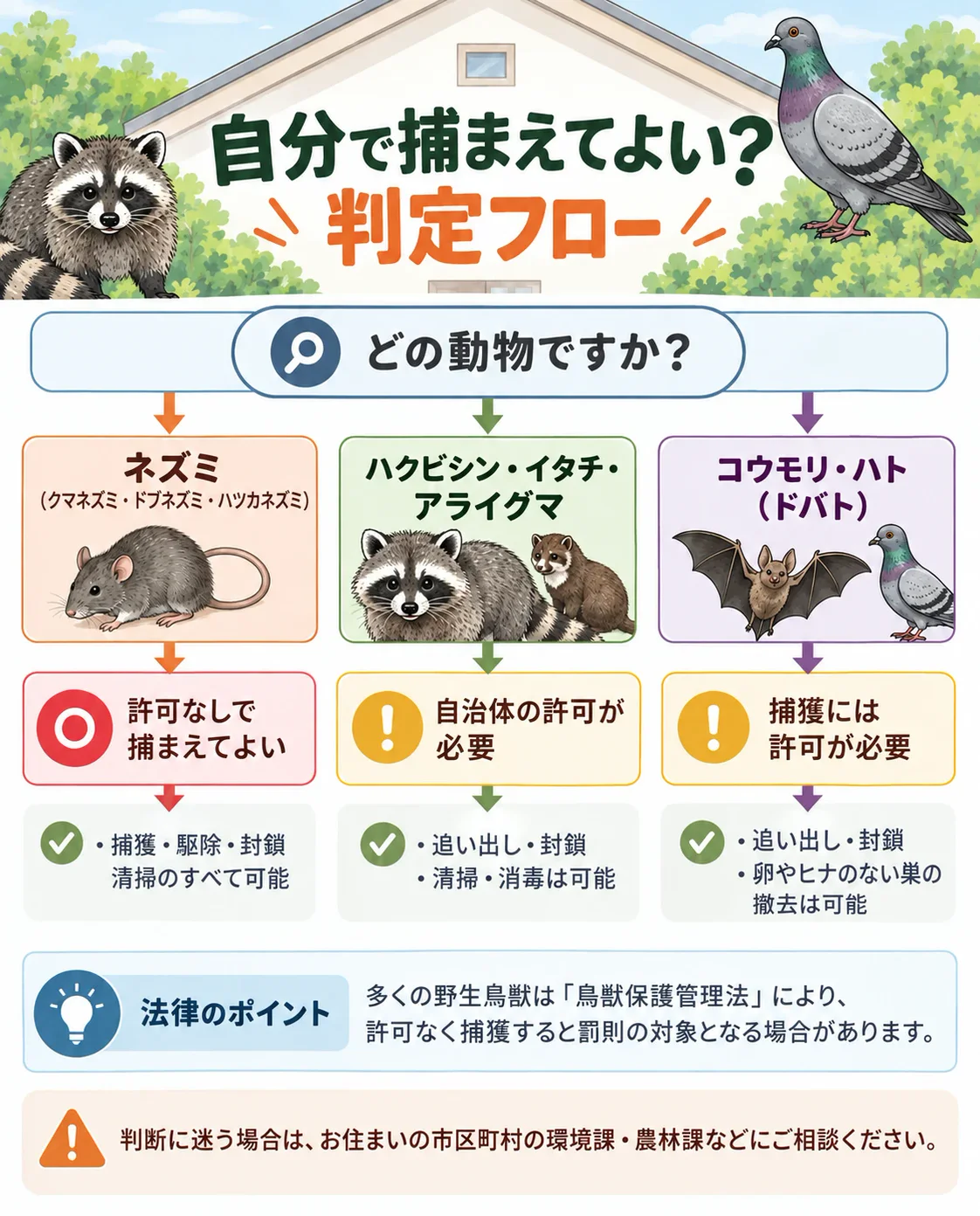 6獣種の「自分で捕まえてよい/ダメ」早見表|鳥獣保護管理法と捕獲許可の申請方法|害獣を自分で捕まえてよい範囲・罰則・自治体の窓口まで