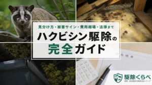 ハクビシン駆除の完全ガイド｜見分け方・被害サイン・費用相場・法律まで