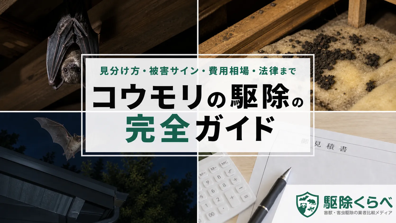 コウモリ駆除の完全ガイド|見分け方・侵入口・追い出しの時期・費用相場・法律まで