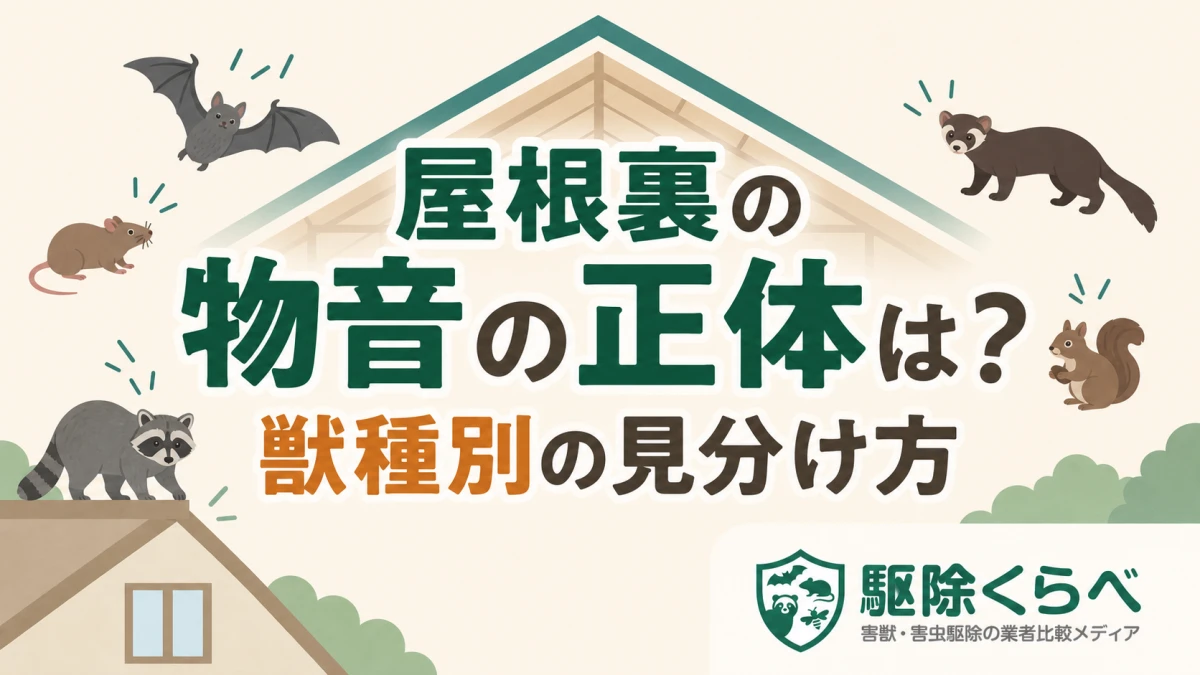 屋根裏の物音の正体は？獣種別の見分け方｜音・フン・時間帯で6種を判定