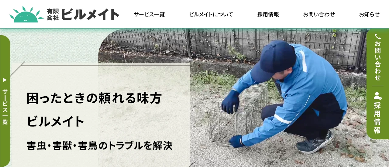 ビルメイト（ハト対策防衛隊 熊本支部）｜熊本でおすすめのハト駆除業者5選