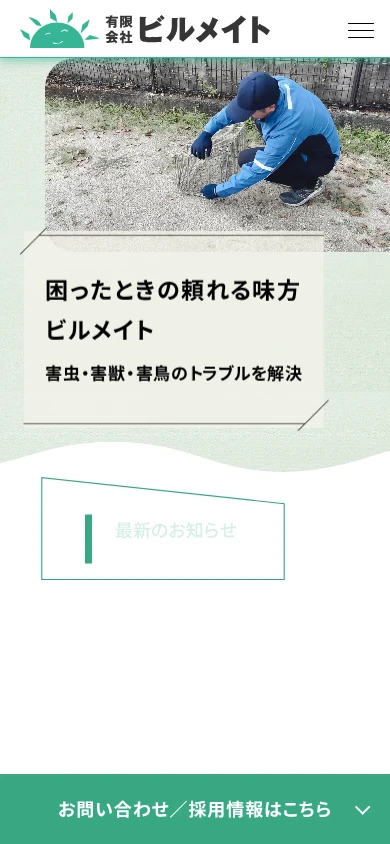 ビルメイト（ハト対策防衛隊 熊本支部）｜公式サイト