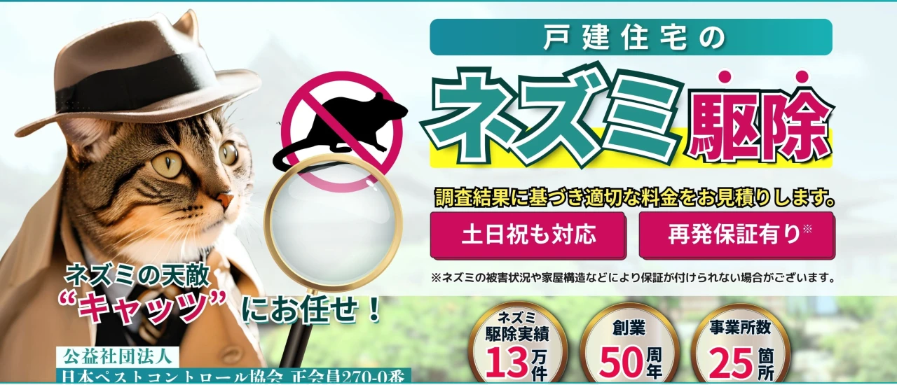 キャッツ|三重でおすすめのネズミ駆除業者5選