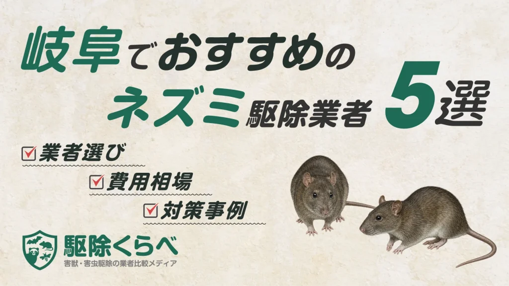 岐阜でおすすめのネズミ駆除業者5選｜費用相場と業者選びのポイント
