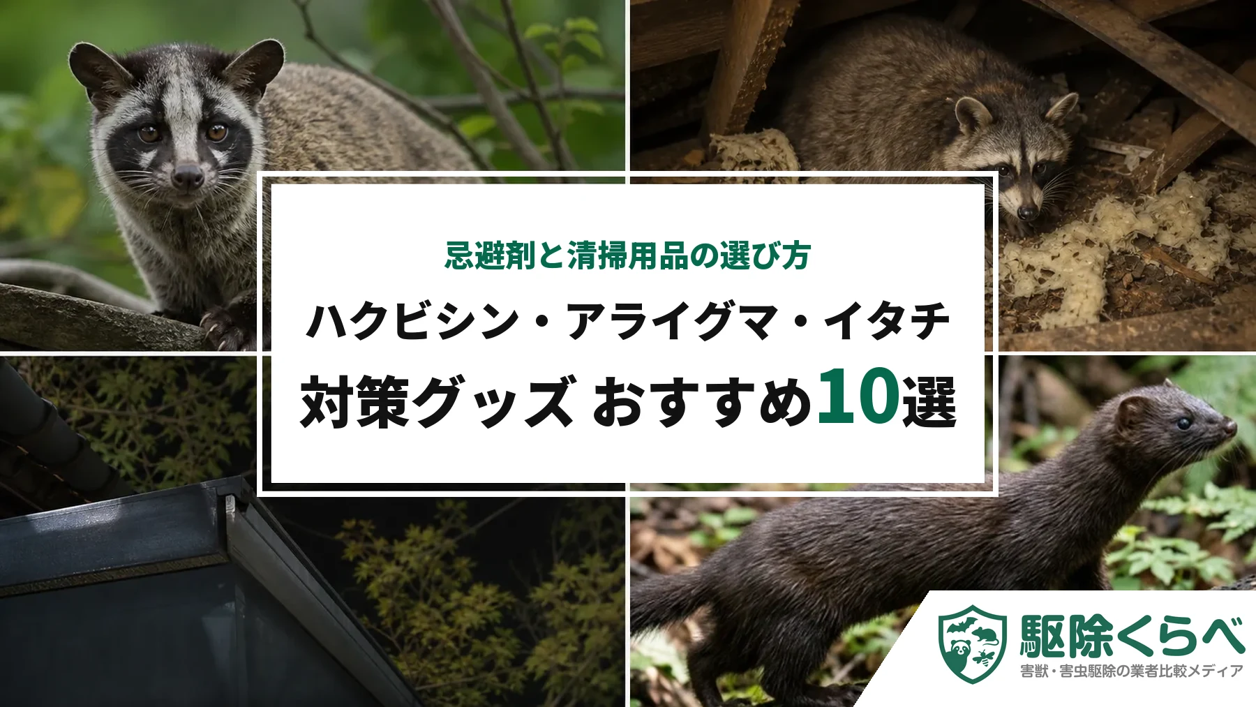 ハクビシン・アライグマ・イタチ対策グッズおすすめ10選|忌避剤と清掃用品