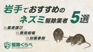 岩手でおすすめのネズミ駆除業者5選｜費用相場と業者選びのポイント