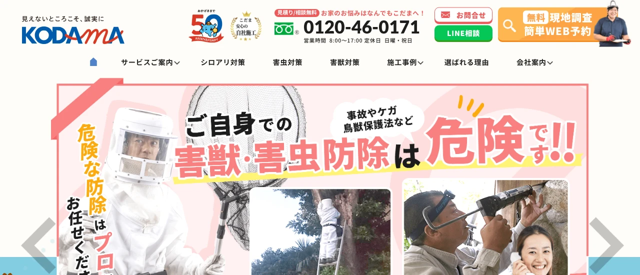 こだま｜三重でおすすめのアライグマ駆除業者5選