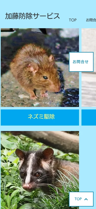 加藤防除サービス｜公式サイト