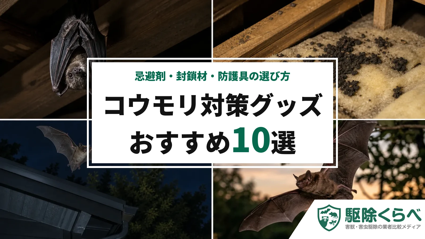コウモリ対策グッズおすすめ10選｜忌避剤・封鎖材・防護具の選び方