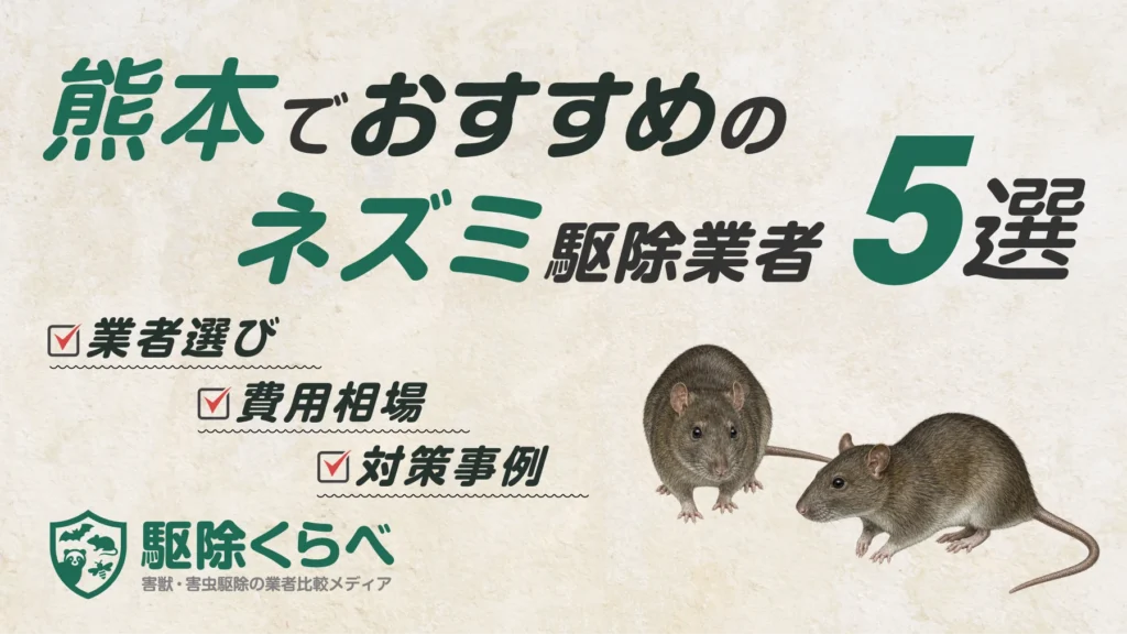 熊本でおすすめのネズミ駆除業者5選｜費用相場と業者選びのポイント