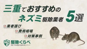 三重でおすすめのネズミ駆除業者5選｜費用相場と業者選びのポイント