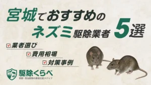 宮城でおすすめのネズミ駆除業者5選｜費用相場と業者選びのポイント