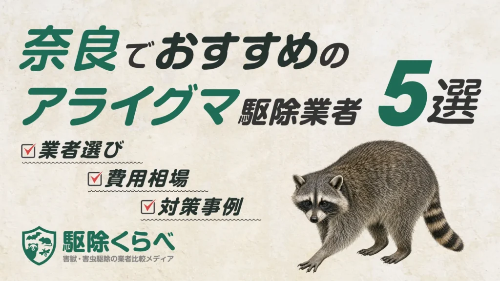 奈良でおすすめのアライグマ駆除業者5選｜費用相場と業者選びのポイント