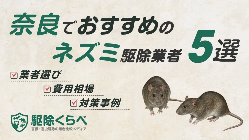 奈良でおすすめのネズミ駆除業者5選｜費用相場と業者選びのポイント