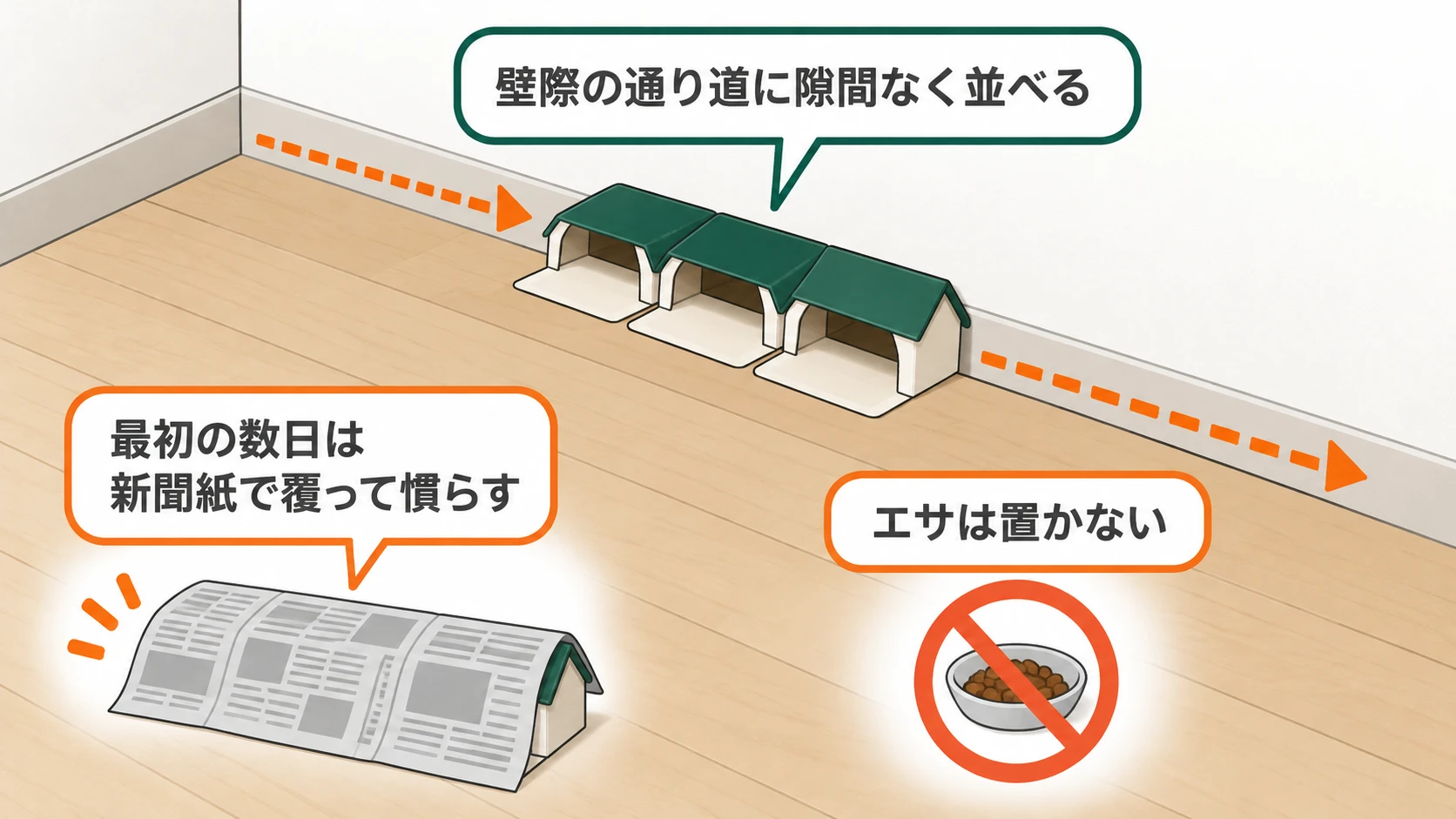 粘着シートの置き方:壁際の通り道に隙間なく並べる・最初の数日は新聞紙で覆って慣らす・エサは置かない
