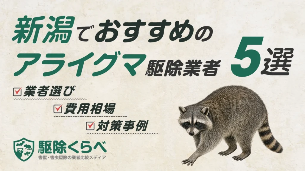 新潟でおすすめのアライグマ駆除業者5選｜費用相場と業者選びのポイント