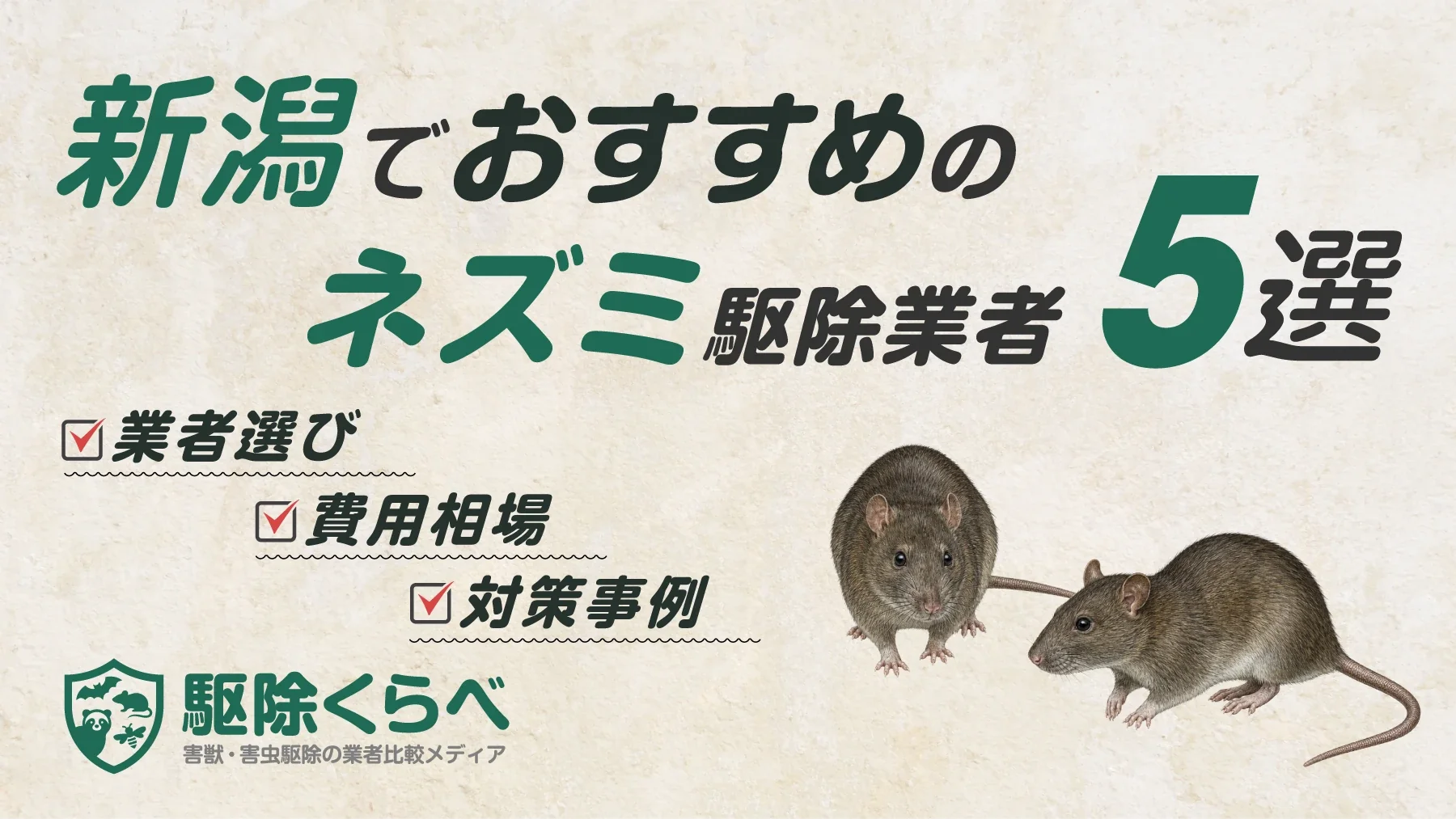 新潟でおすすめのネズミ駆除業者5選｜費用相場と業者選びのポイント