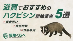 滋賀でおすすめのハクビシン駆除業者5選｜費用相場と業者選びのポイント