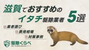 滋賀でおすすめのイタチ駆除業者5選｜費用相場と業者選びのポイント