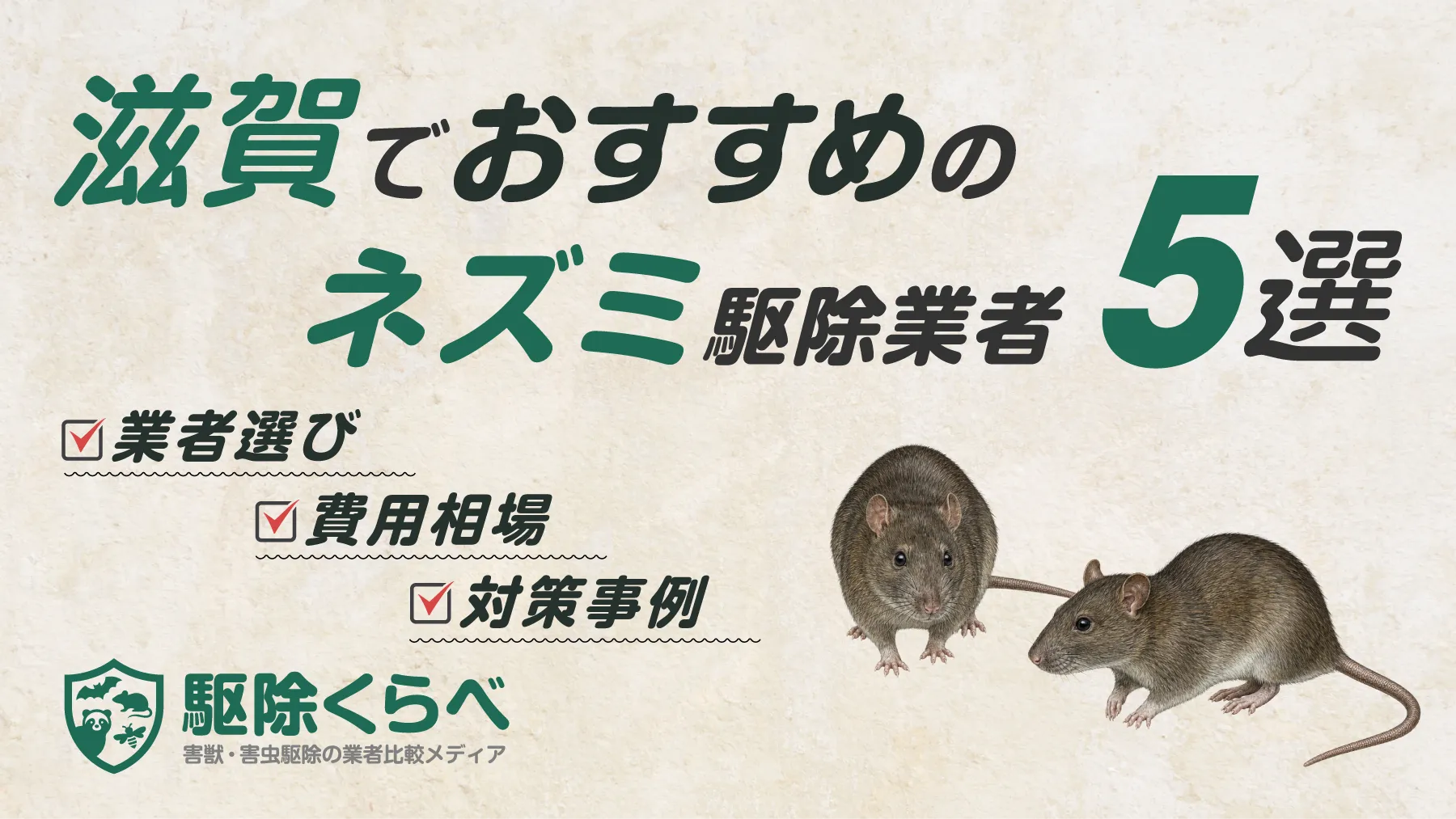 滋賀でおすすめのネズミ駆除業者5選｜費用相場と業者選びのポイント