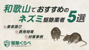 和歌山でおすすめのネズミ駆除業者5選｜費用相場と業者選びのポイント