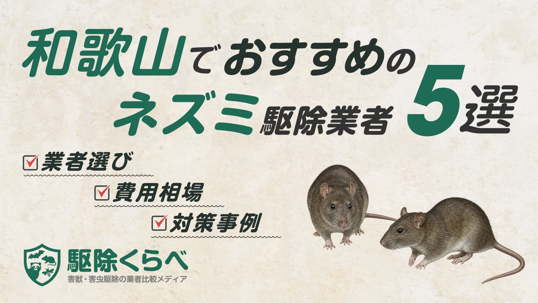 和歌山でおすすめのネズミ駆除業者5選｜費用相場と業者選びのポイント