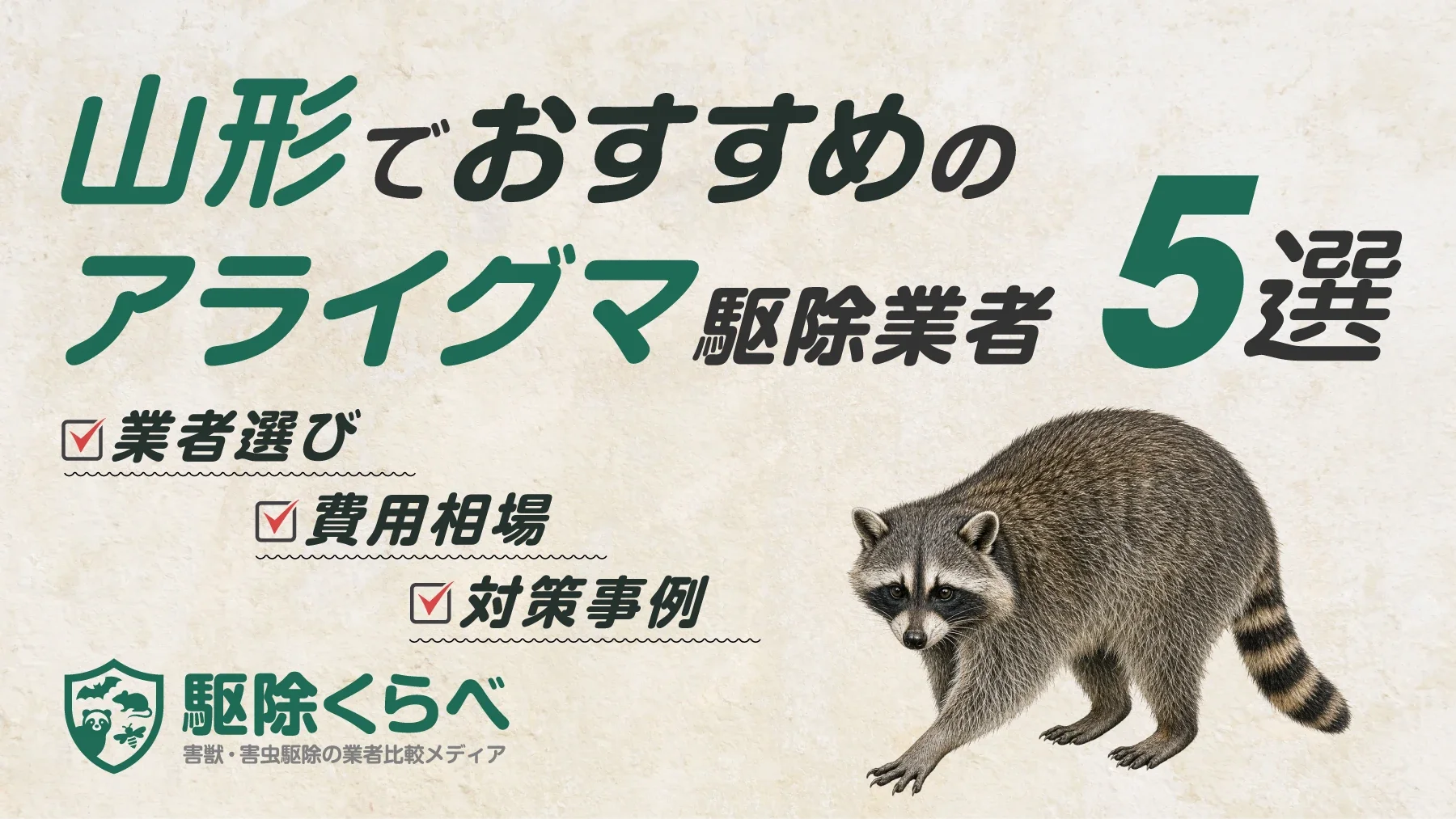 山形でおすすめのアライグマ駆除業者5選｜費用相場と業者選びのポイント