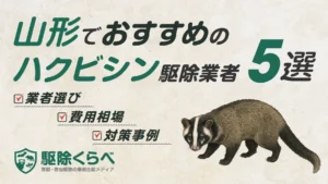 山形でおすすめのハクビシン駆除業者5選｜費用相場と業者選びのポイント